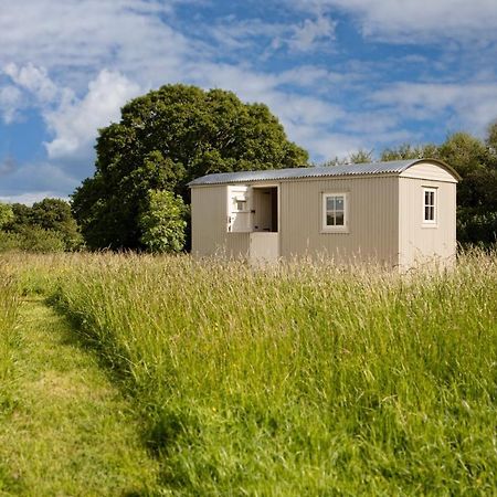 Southwick  Romantic Secluded Shepherd Hut Hares Rest מראה חיצוני תמונה